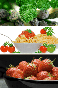 food-pitopia