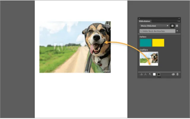 adobestock-bild-nach-phtoshop