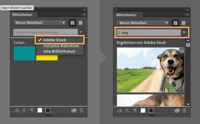adobestock-bildersuche-in-photoshop