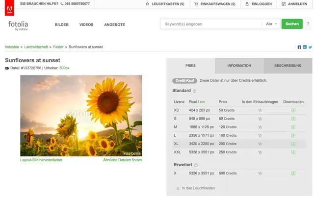 fotoskaufen-fotolia-infinite