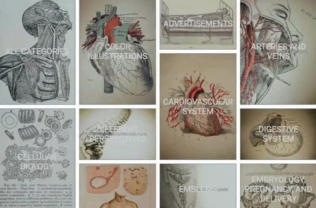 vintagemedstock galerie Galerie Vintagemedstock