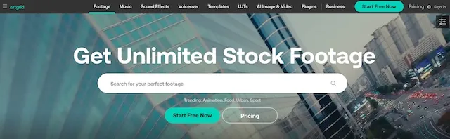 Top 7 Stock-Video-Seiten, um Videoclips zu kaufen - artgrid webseite