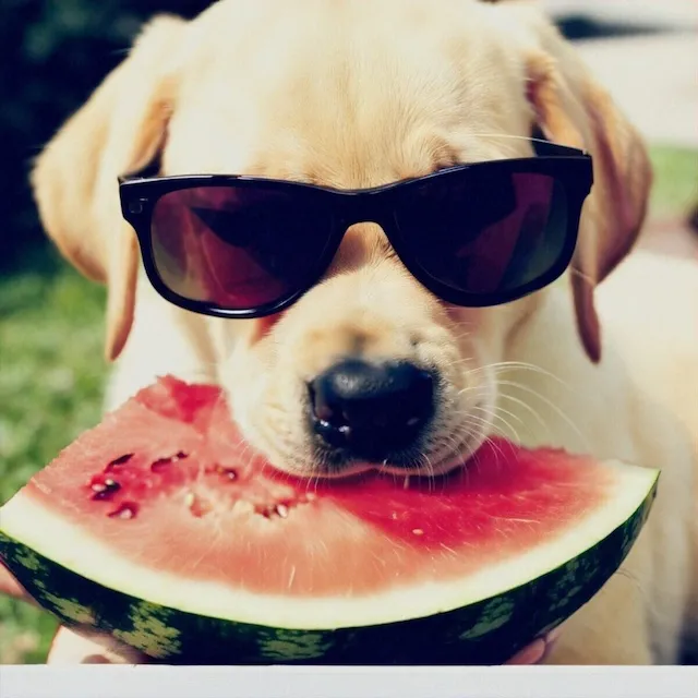 Shutterstock Bearbeitungstools 13 Erstelltes Bild aus Bildvariation von Shutterstock