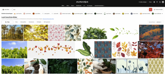 Shutterstock Testbericht, Preise & Erfahrungen - fotoskaufen shutterstock feine suchoptionen 1 1