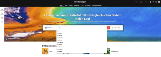 Shutterstock Testbericht, Preise & Erfahrungen - fotoskaufen shutterstock wortsuche 1