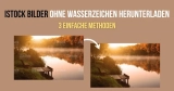 3 Methoden, um iStock Bilder ohne Wasserzeichen zu erhalten