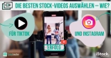 Die besten Stock-Videos für TikTok und Instagram auswählen – Wie?